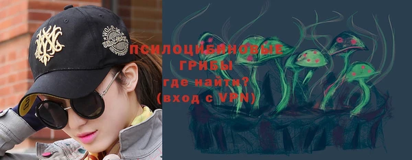 меф Богородицк