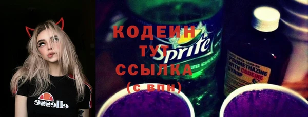 spice Богородск