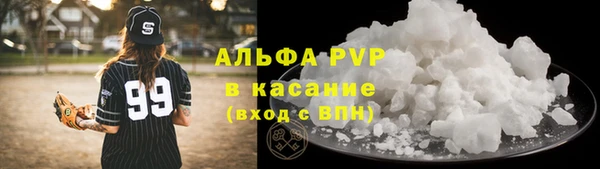 spice Богородск