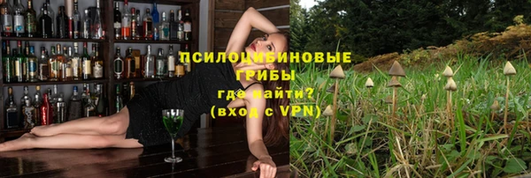 spice Богородск
