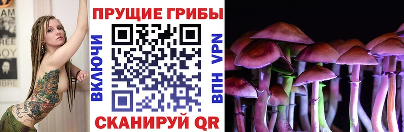 Галлюциногенные грибы мицелий  Купить где  Железногорск-Илимский 